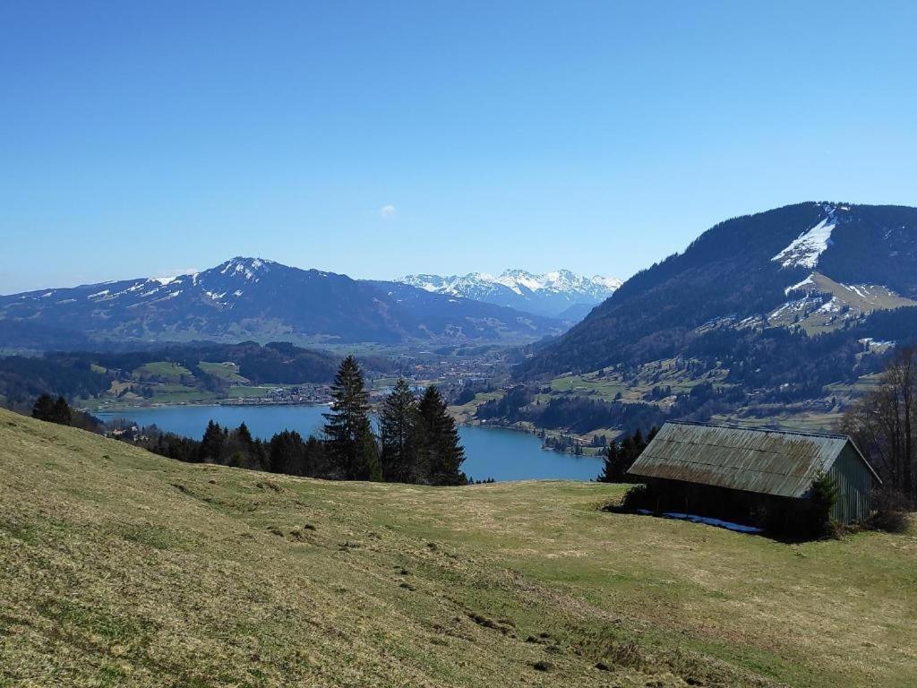 Ferienwohnung Allgaeuglueck Im Ferienpark Oberallgaeu Mit Hallenbad, Sauna, Wlan Мисен-Вилхамс Екстериор снимка
