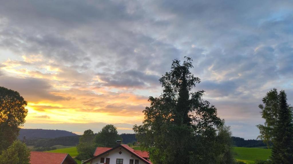 Ferienwohnung Allgaeuglueck Im Ferienpark Oberallgaeu Mit Hallenbad, Sauna, Wlan Мисен-Вилхамс Екстериор снимка