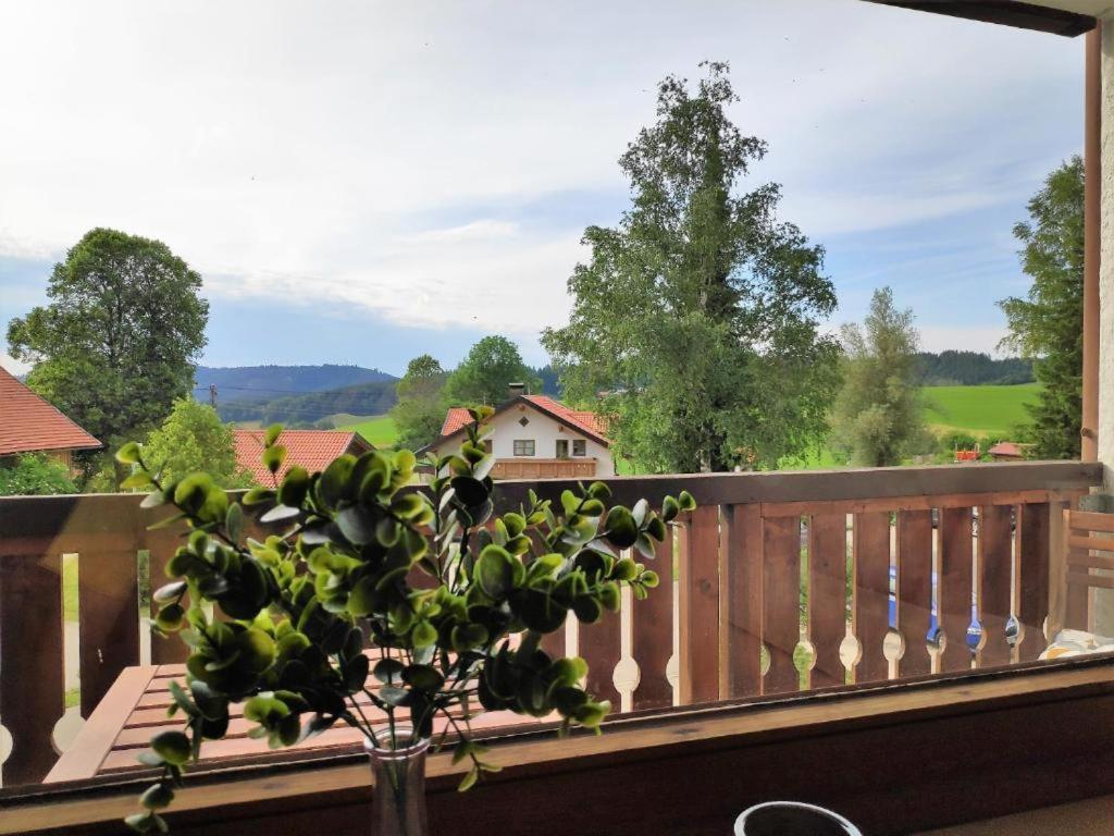 Ferienwohnung Allgaeuglueck Im Ferienpark Oberallgaeu Mit Hallenbad, Sauna, Wlan Мисен-Вилхамс Екстериор снимка